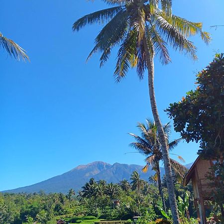 Dewi Rinjani Homestay Tetebatu Exterior foto