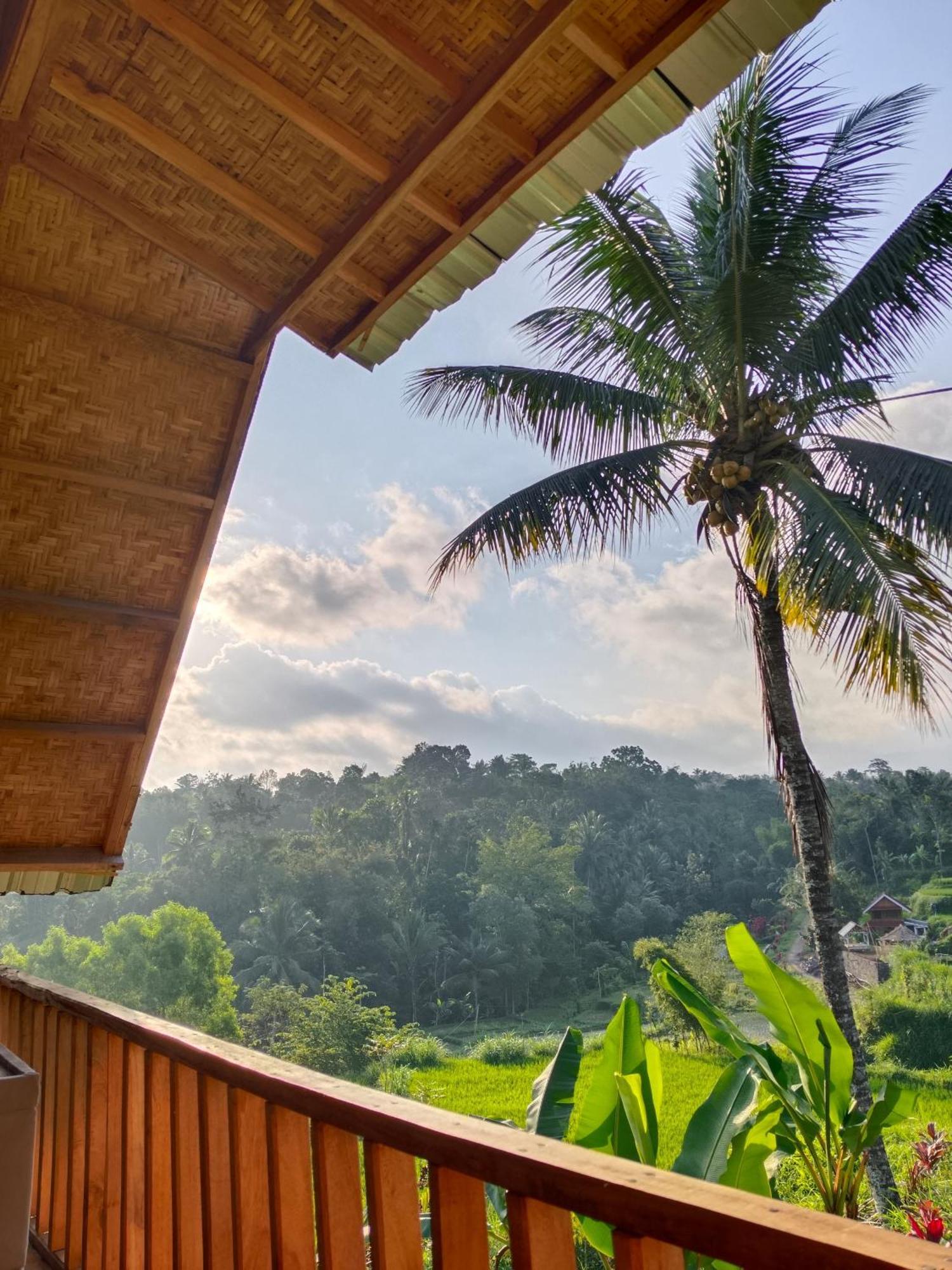 Dewi Rinjani Homestay Tetebatu Exterior foto