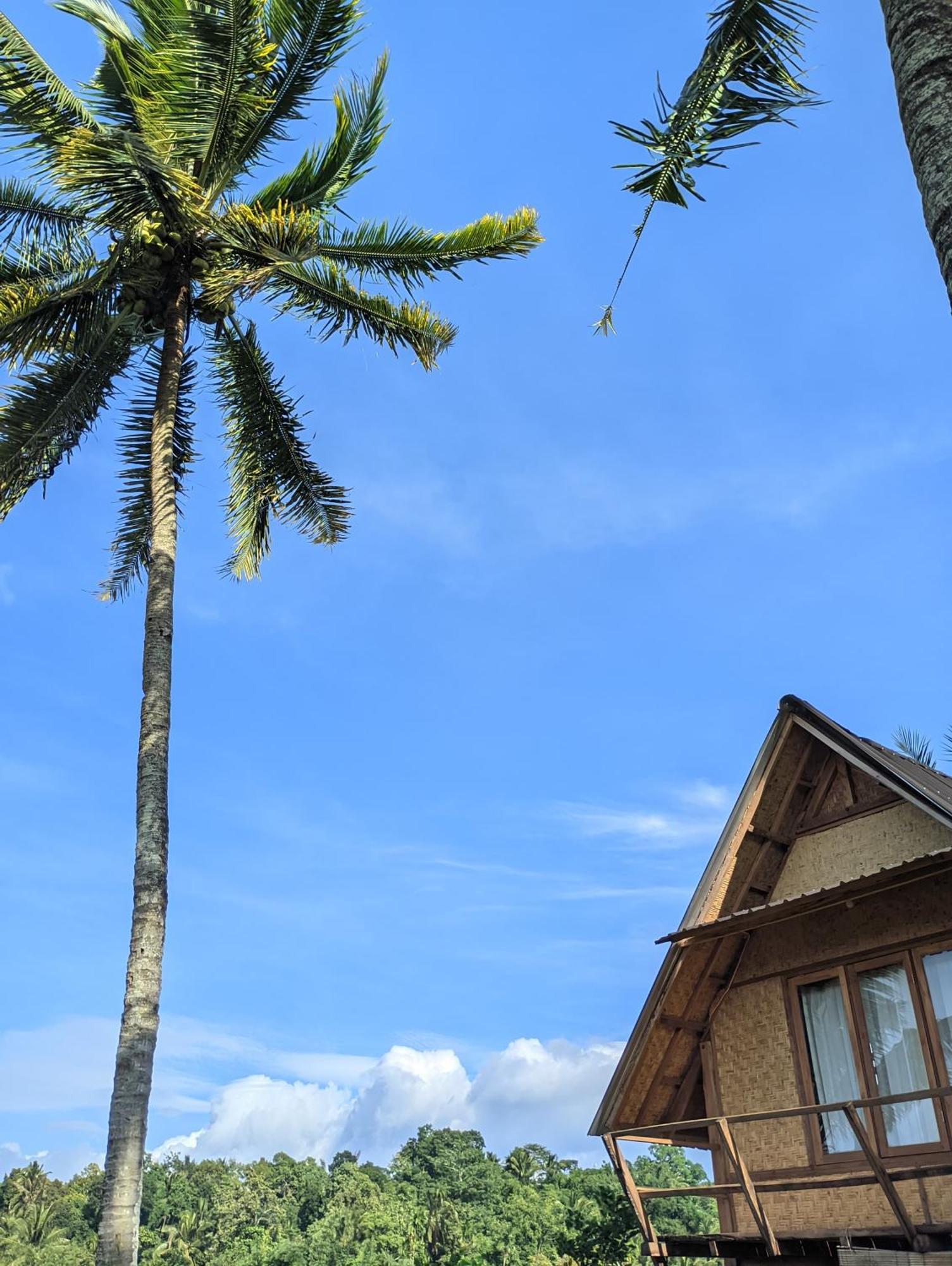 Dewi Rinjani Homestay Tetebatu Exterior foto