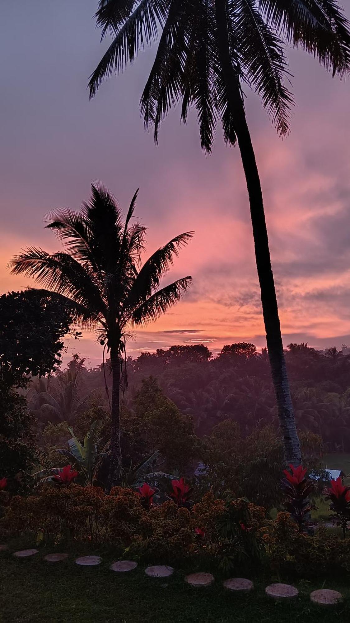 Dewi Rinjani Homestay Tetebatu Exterior foto